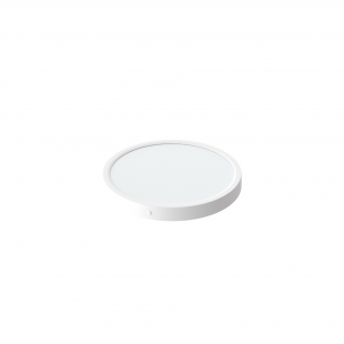 LED stropní a nástěnné kulaté svítidlo DIANA II - 12W-18W-24W